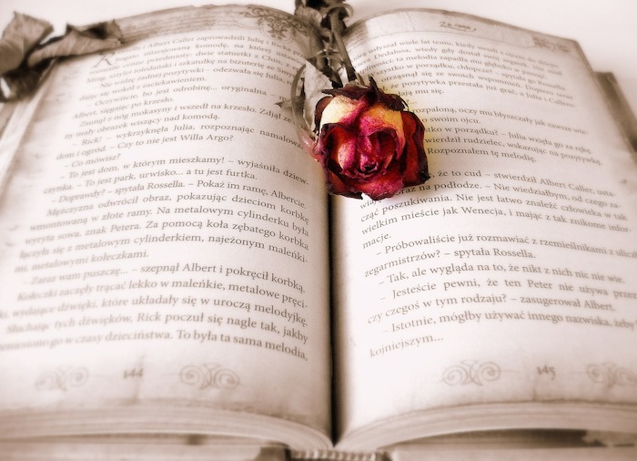 Book open with a rose lying on top of it