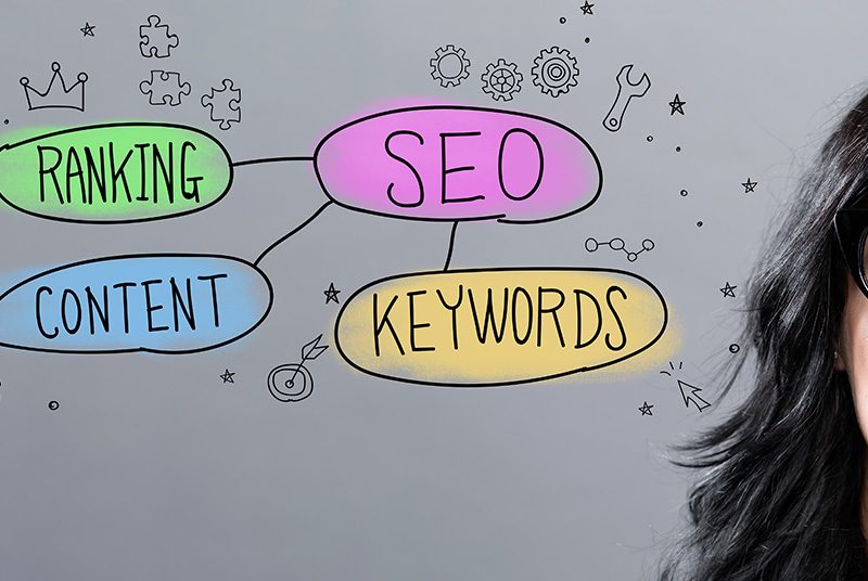 ||a search box with SEO strategy inside