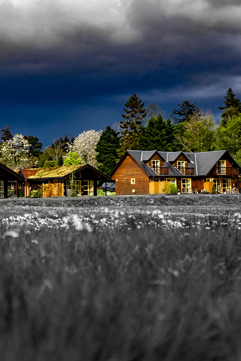 The lodges and chalets at Loch Lomond Waterfront